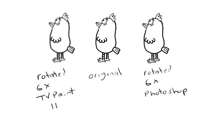 bird test.jpg