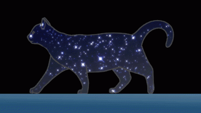 Cat outline with Starry Sky.gif