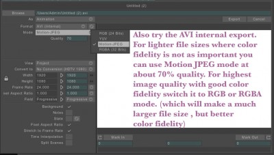 AVI export.jpg