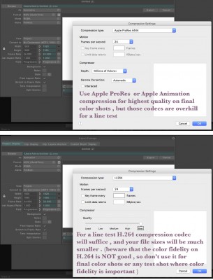 Export settings for Quicktime mov.jpg