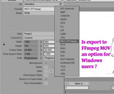 Windows Export to FFmpeg MOV.jpg
