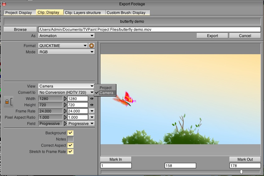TVPaint_Export_Camera_View.jpg