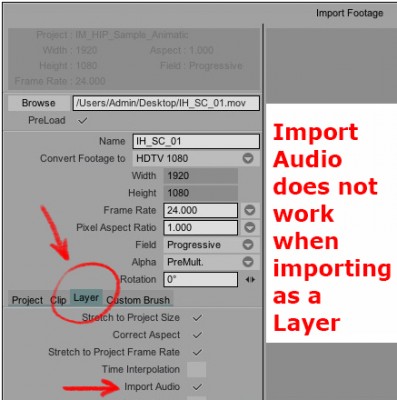 Import Audio does not work.jpg