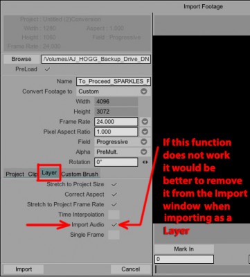 Import Audio does not work.jpg