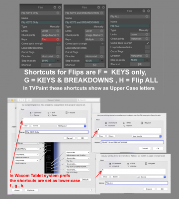 Flips Shortcuts_Upper_Case_and_lower_case.png