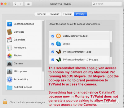 Camera Access permission System Prefs_in_Mojave.jpg