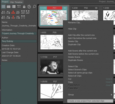 TVPaint_Create_New_Project_from_Selected_Clip.png