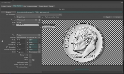 AVI_TVPaint_Export_NoPreMult.png