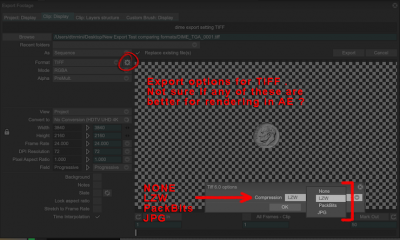 TVPaint_TIFF_Export_Options.png